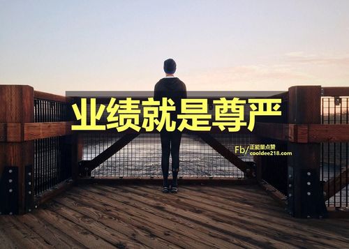 业绩就是尊严!