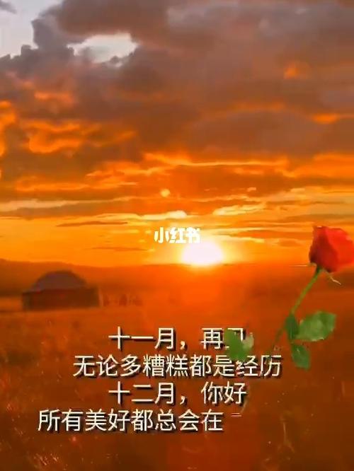 十二月你好_vlog_学习打卡vlog_情感_励志鸡汤