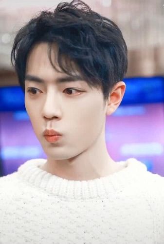 肖战图片可爱嘟嘴