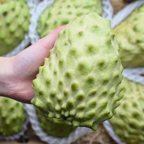 正宗牛奶凤梨释迦新鲜特级释迦果大果特级35斤番荔枝佛头果超大