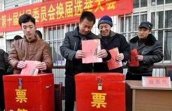 你们的村干部是好是坏?
