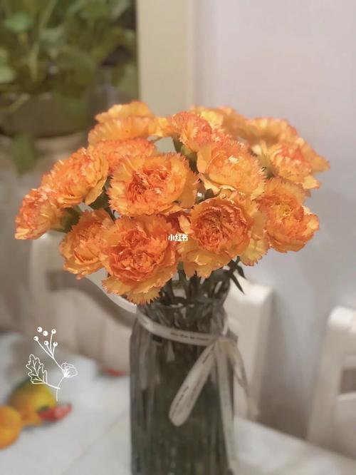 橙色康乃馨_康乃馨_夏天去哪玩_滤镜_夏日滤镜_家居家装_家居装饰