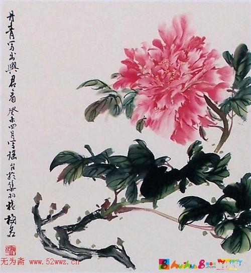 梅若中国画牡丹写意画作品欣赏
