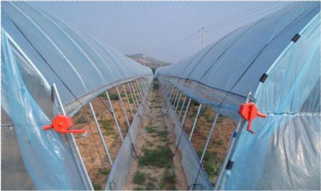 12米跨度的大棚,薄膜是怎么安装的?没点技术,经验还真