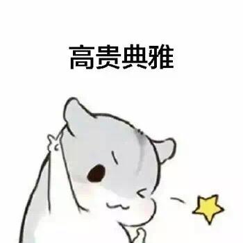 高贵典雅有的女生像白莲花仓鼠表情包仓鼠表情
