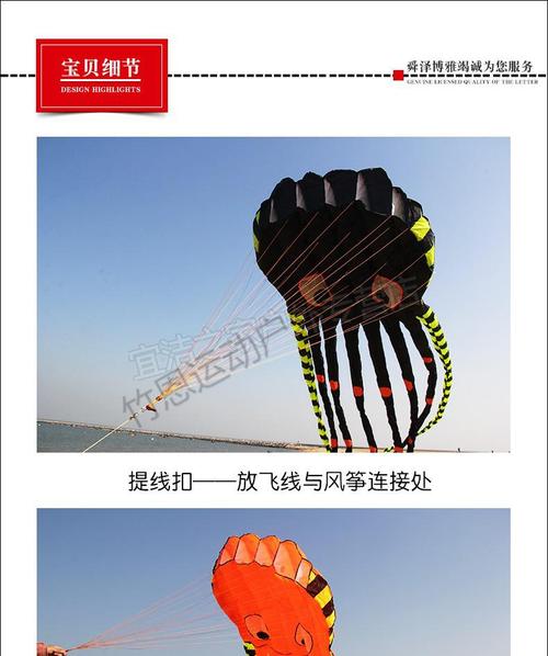 60山东潍坊风筝软体大章鱼水母大象无骨8米10米15米大型抗风好飞