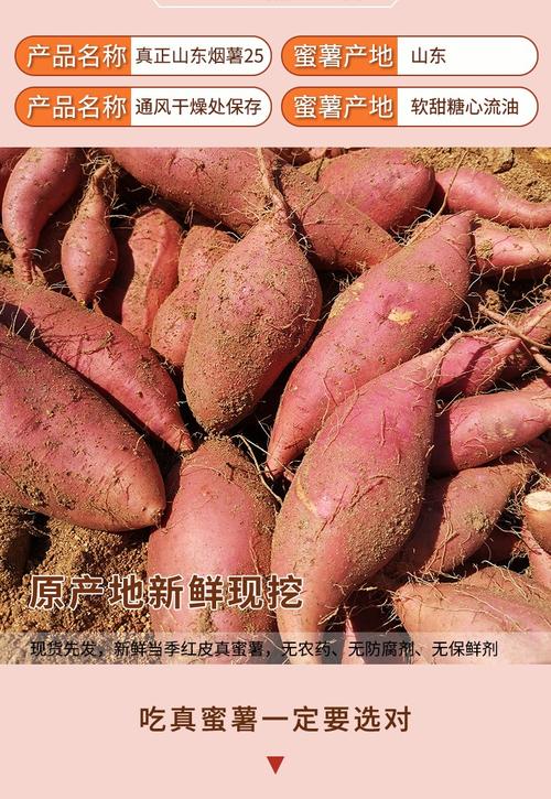 烧烤类别:地瓜/红薯净重:1000-2499g货号:562631067941bb商品产地