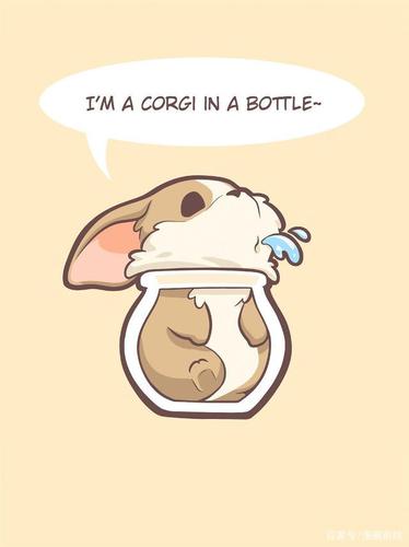 可爱爆棚的十二星座动物插画