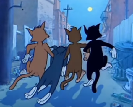 求一张汤姆猫喝醉被其他猫扶着回家的图片