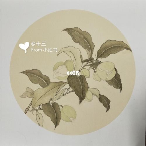 【工笔】夜合花图_工笔画_文化_绘画