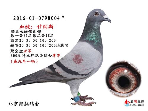 甘纳斯