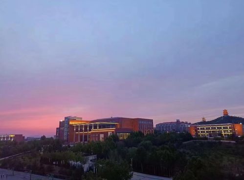 莱芜职业技术学院订单班2020年招生简章