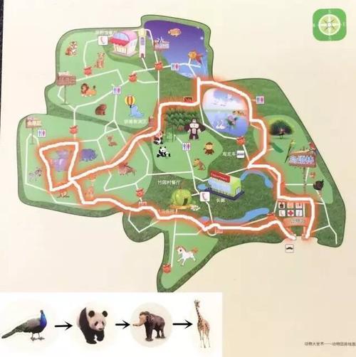 其它 大班个别化学习活动——动物园路线图 写美篇 观察动物园大导游