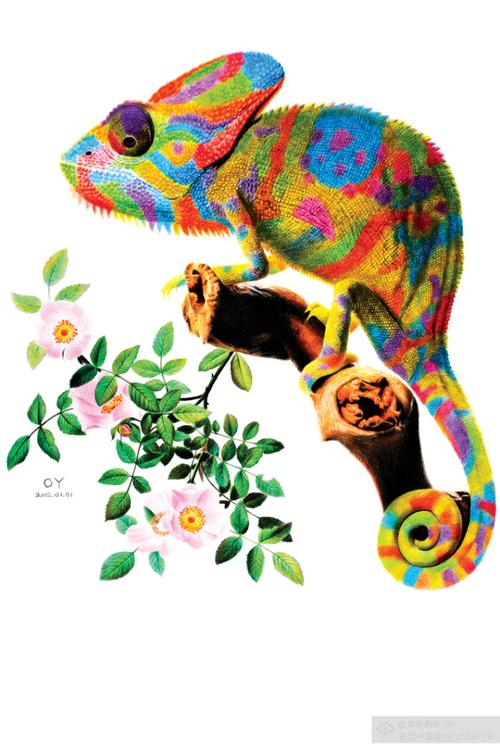 oy手绘★彩铅画《变色龙》