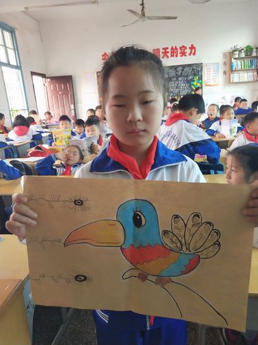 "主题爱鸟周手抄报,绘画,征文展览!