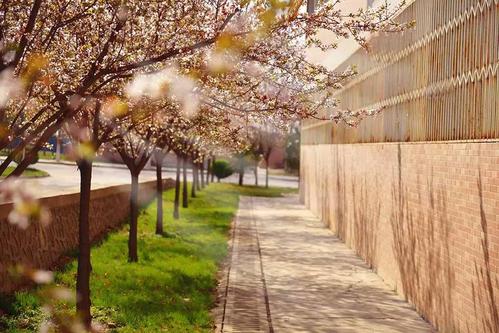 2015年"最美校园"摄影大赛优秀作品选登