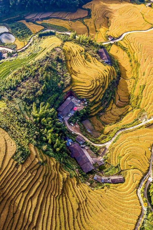 为面积最大的客家梯田 (江西崇义上堡梯田,摄影师@陈彦) 从空中俯瞰