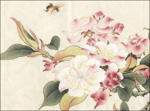 临俞致贞《西府海棠》步骤. - 【工笔画解析】 - 【画