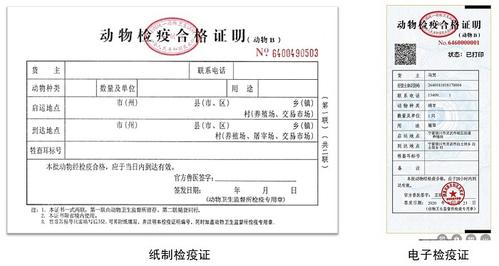 宁夏首张动物检疫合格证明(动物b)电子证"诞生"