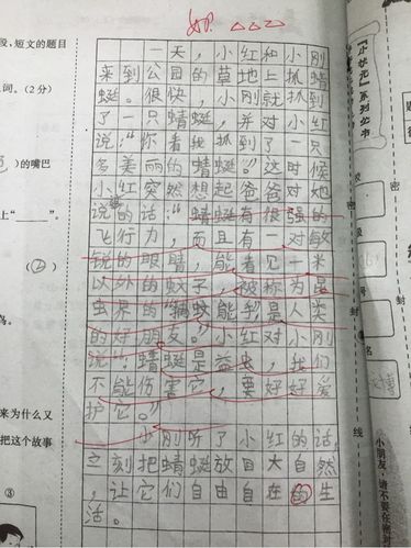 二年级上册看图写话《捕蜻蜓》作品展示