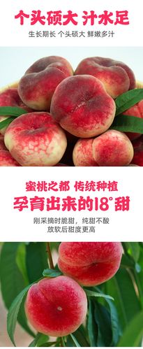 蟠桃水果新鲜山东省大扁毛5斤盘桃潘桃水蜜桃子当季整箱包邮