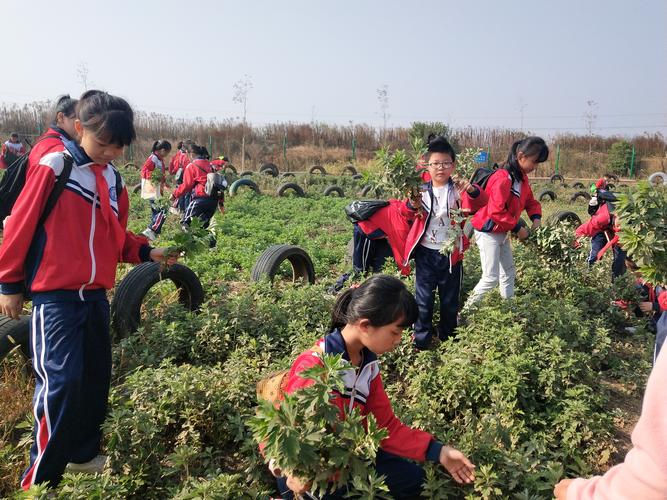 永修新城小学研学之旅来到天泽生态园研学基地