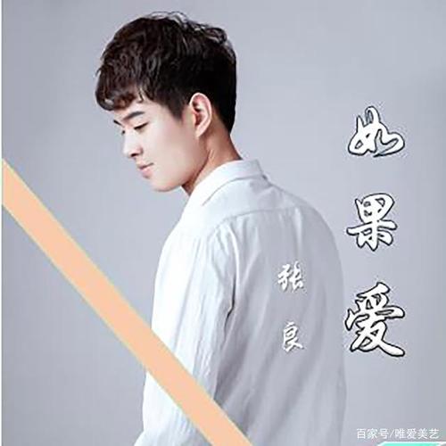 《如果爱》是中国大陆男歌手张良推出的个人第二首单曲,整首歌描绘了