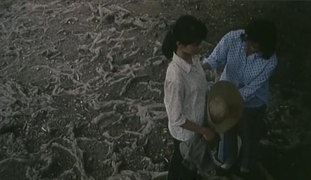 女孩两次收受彩礼两次悔婚第二次却没成功耐人寻味山雀