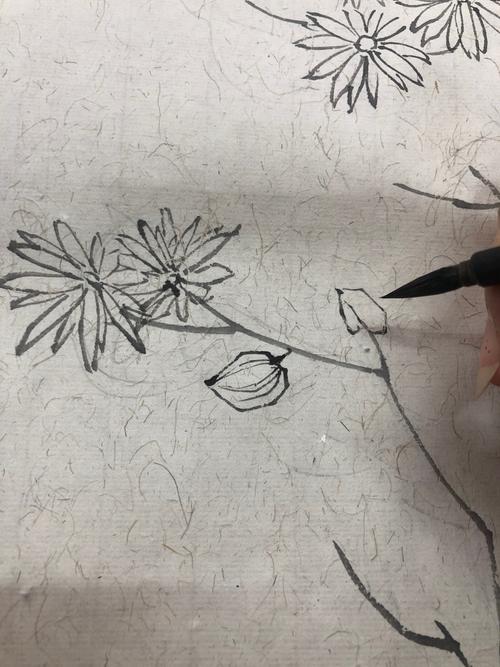 国画小品小野花的绘画步骤