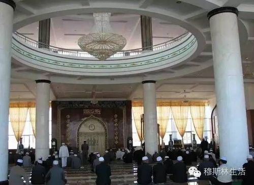 中国门宦一般分属于"嘎德忍耶","虎菲耶","哲赫忍耶","库布忍耶"