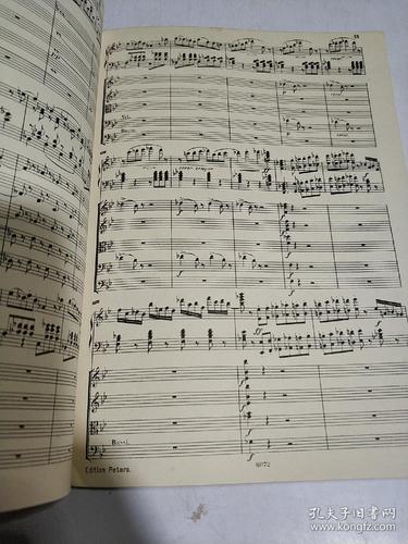 mendelssohn klavierkonzert:门德尔松g小调钢琴协奏曲(外文)