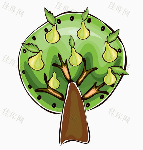 手绘 树木 梨树 梨     