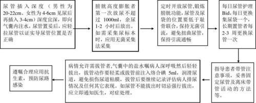 留置导尿的常规护理流程