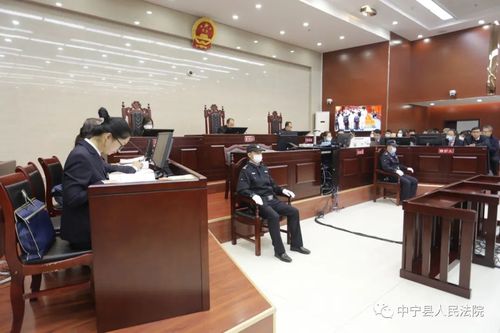 中宁县人民法院公开开庭审理被告人吴建华等19人组织