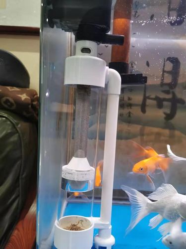 很负责的讲鱼马桶确实好用尤其是大密度养鱼本人不是商家