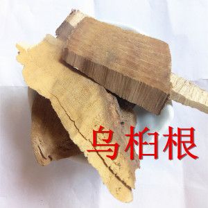 中药材正品乌桕别称桕树木蜡树木梓树蜡烛树木油树500克包邮
