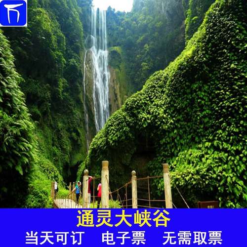 广西南宁百色靖西通灵大峡谷成人门票 限非广东籍游客使用_7折现价93