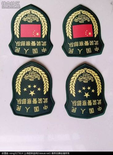 武警出新式国旗臂章?