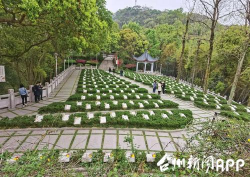 云祭扫祭英烈丨今天上午解放一江山岛烈士陵园举行不一样的祭扫仪式