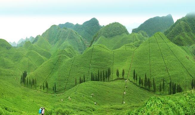 贵州瓮安映山红景区一日游-贵阳旅游攻略-游记-去哪儿