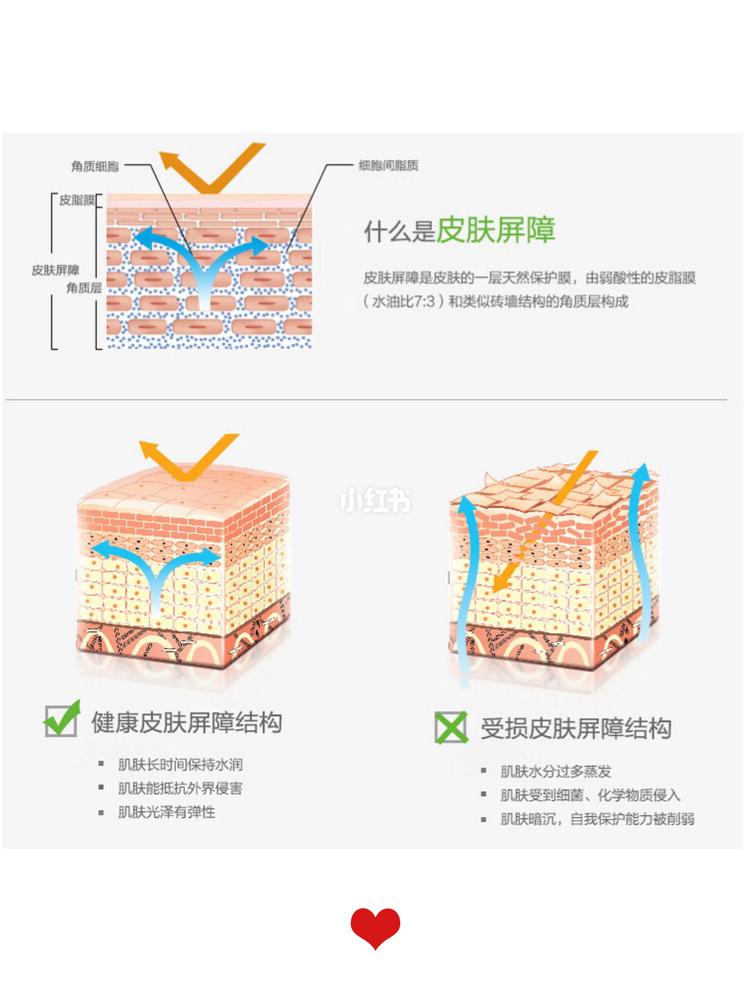 但是很多人都不太清楚,所谓的皮肤屏障受损到底是什么意思?