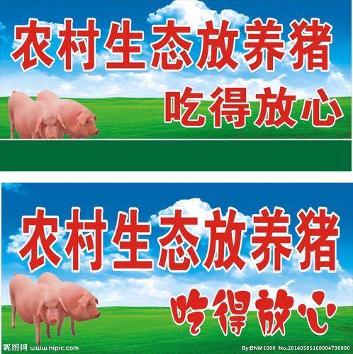 农村生态放养猪设计图__海报设计_广告设计_设计图库