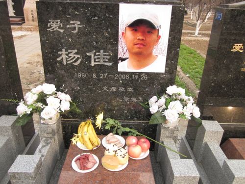 两周年_杨佳_新浪博客