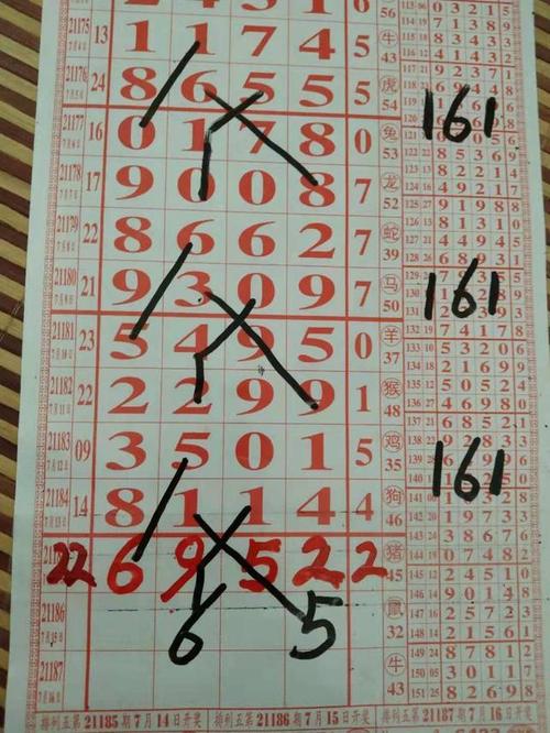 今日排列五规律分析图