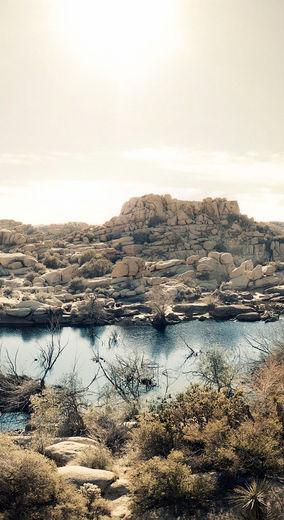 雨滴手机壁纸 iphone 5s欧美美景手机 自然景色壁纸 春季唯美花卉