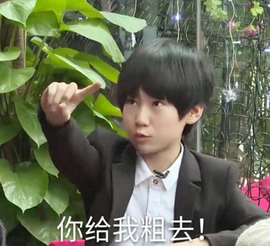 张真源表情包|可爱的小张张