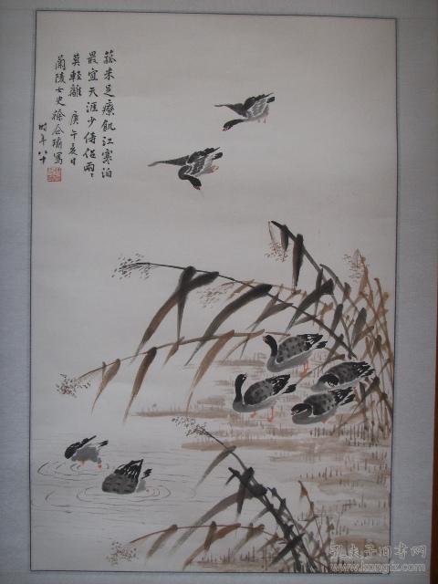 常州名家徐企瑜徐瑗芦雁镜片68544cm