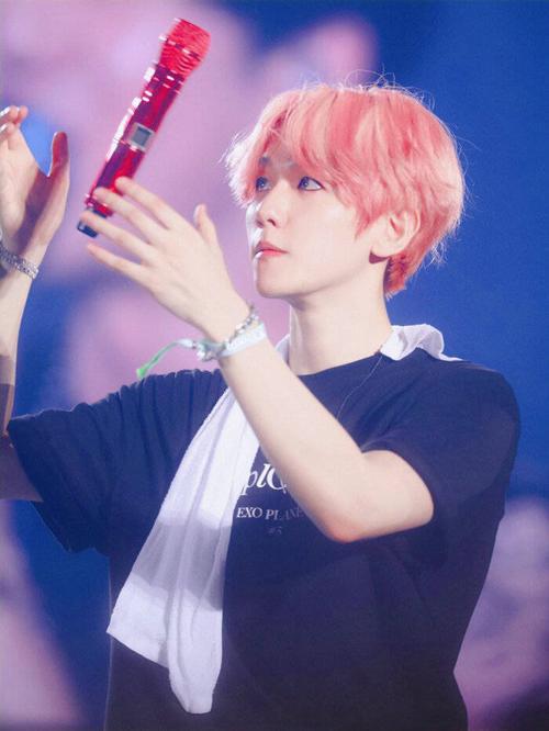 边伯贤 高清图片