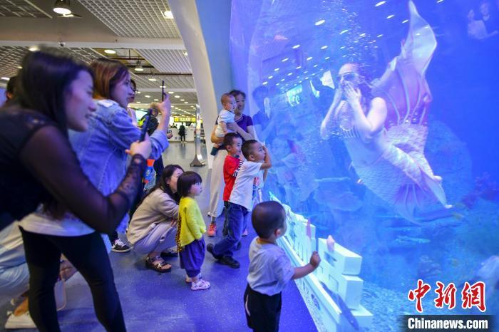 "海洋之眼"水族箱亮相三亚机场 "美人鱼"迎八方来客