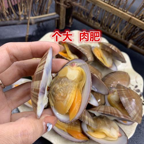 丹东大文贝大黄蚬子真空无沙文贝黄蚬子开袋即食一份3袋包邮顺丰